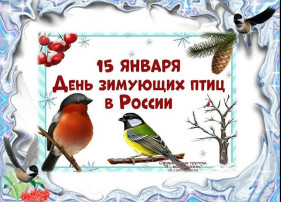 День зимующих птиц в России. День зимующих птиц в России.