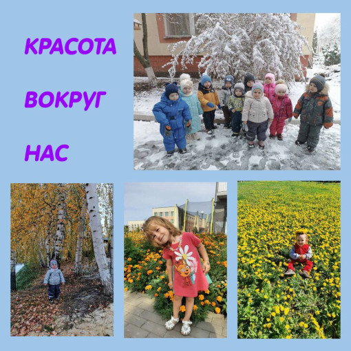 Красота вокруг нас. Красота вокруг нас.